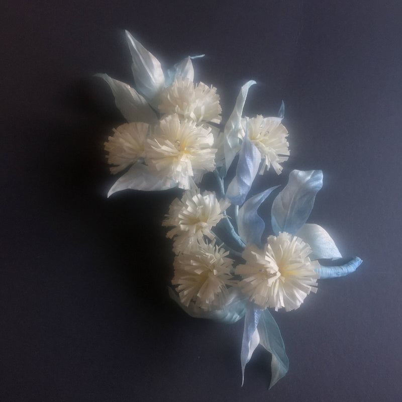 Little chrysanthemum - 2