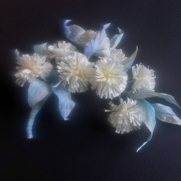 Little chrysanthemum - 2