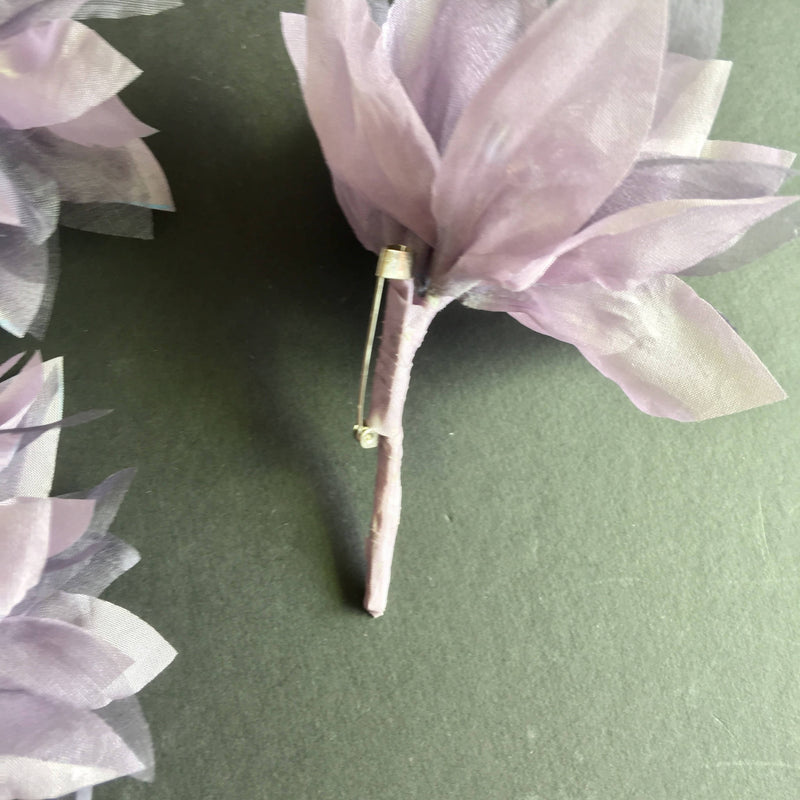 Purple Chrysanthemum